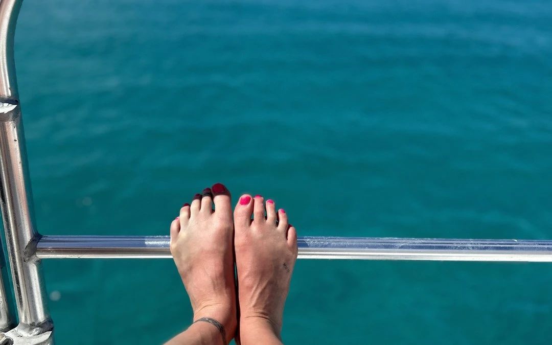 Cruises