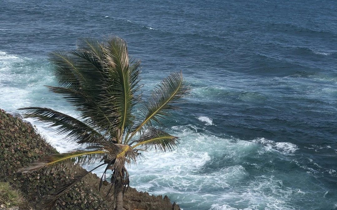 Caribbean