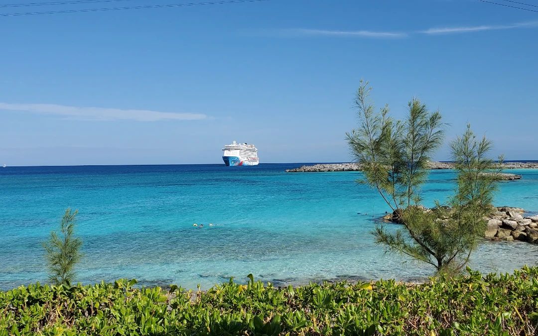 Cruises