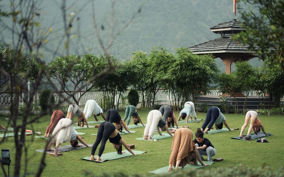 Wellness & Restorative Travel